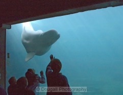 Kids at the Aquarium
